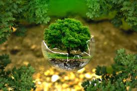 consultoria_ambiental