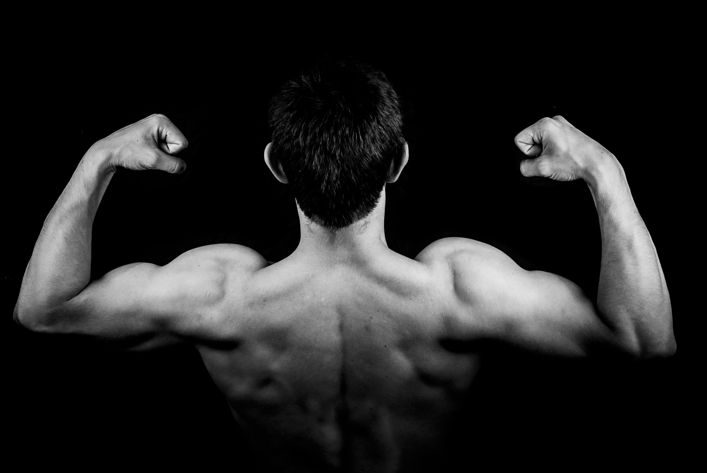 triceps