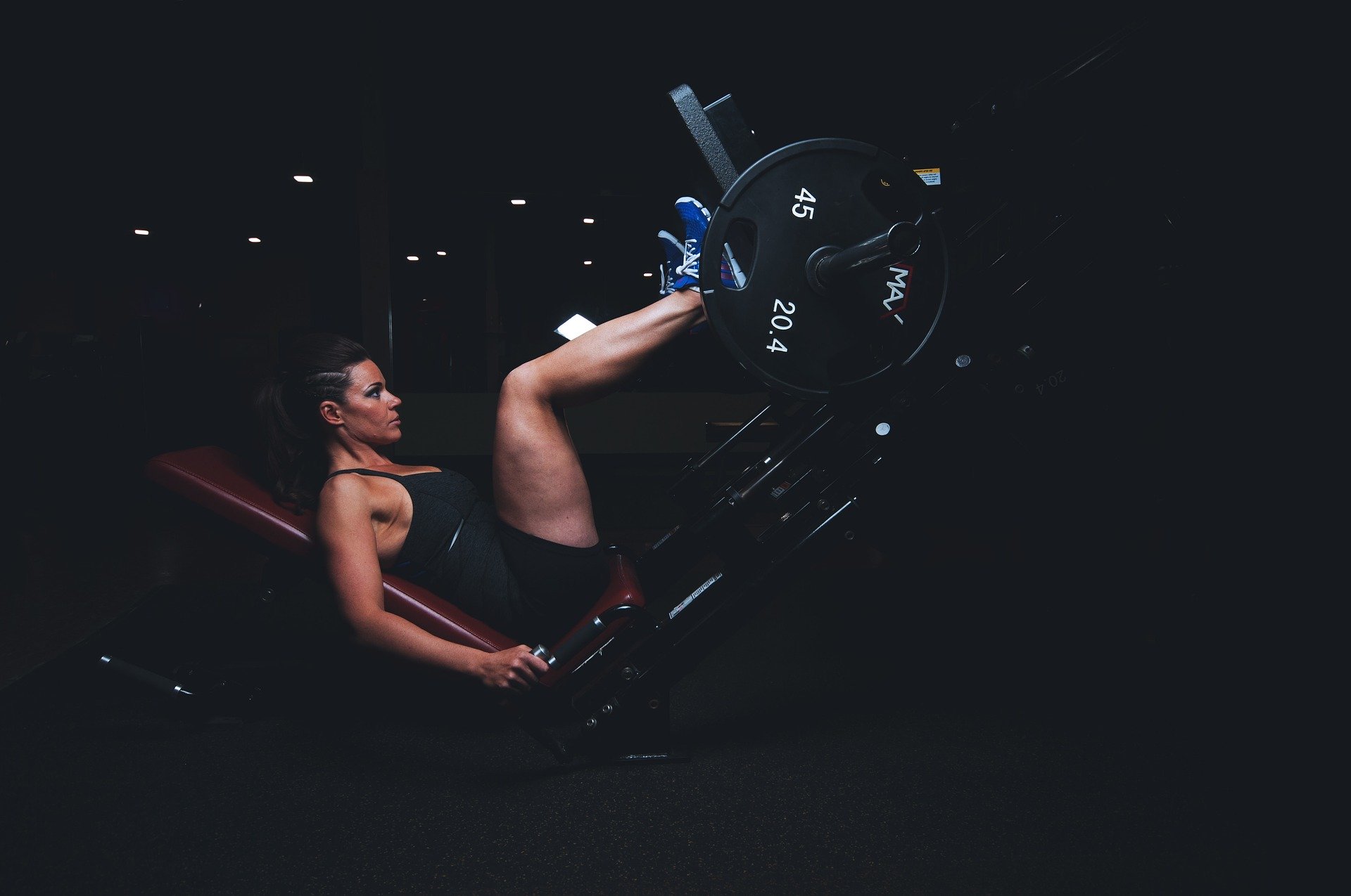 quadriceps