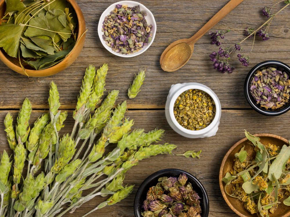 Plantas Medicinais